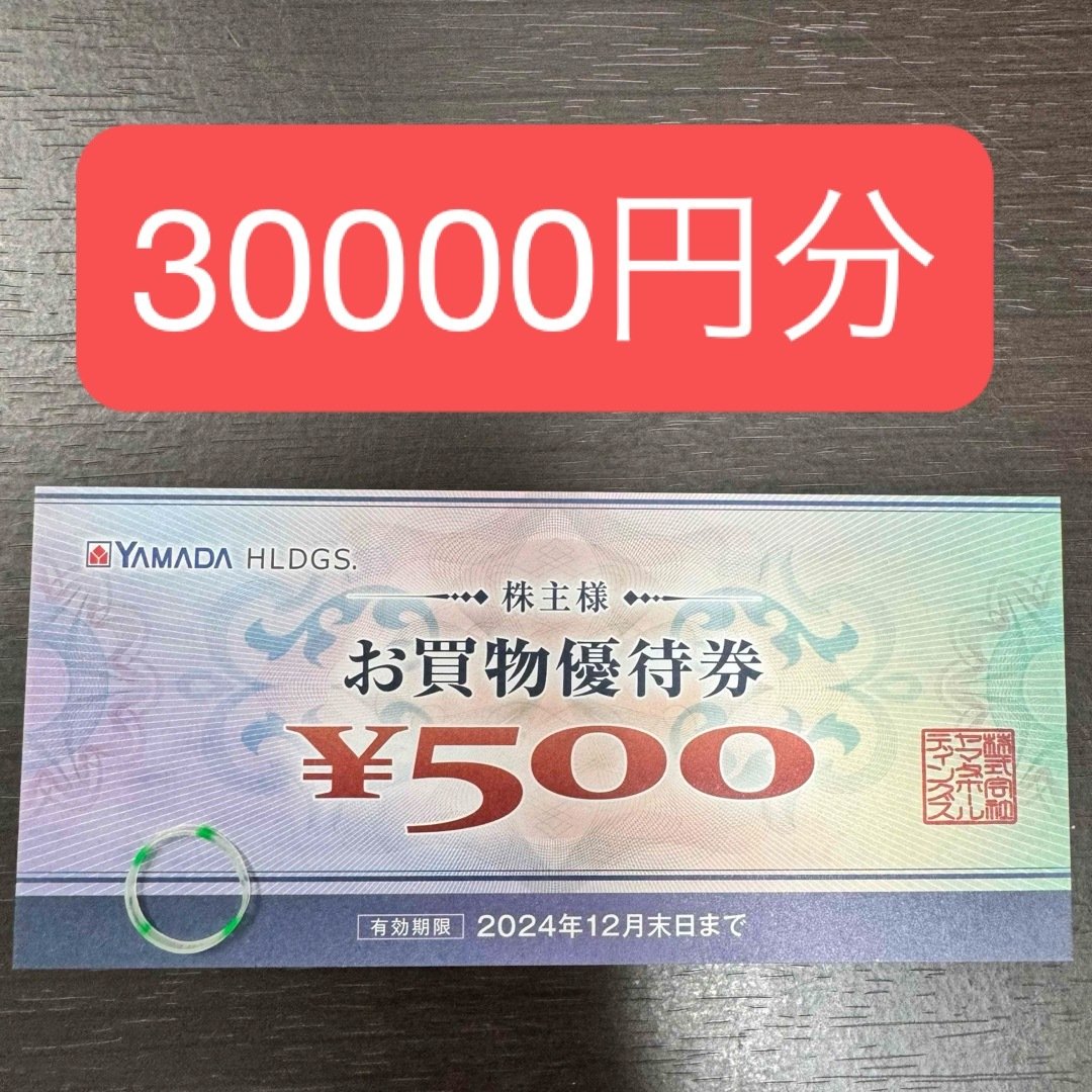 ヤマダデンキ　株主優待券30000円分+ヘアゴム