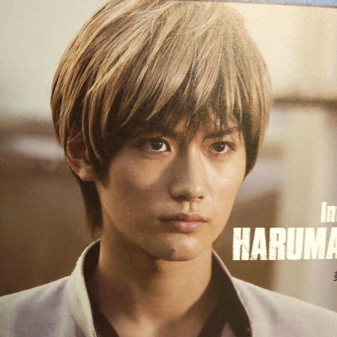 クローズZEROⅡ プレミアム・エディションン DVD2枚組 三浦春馬 新未開封